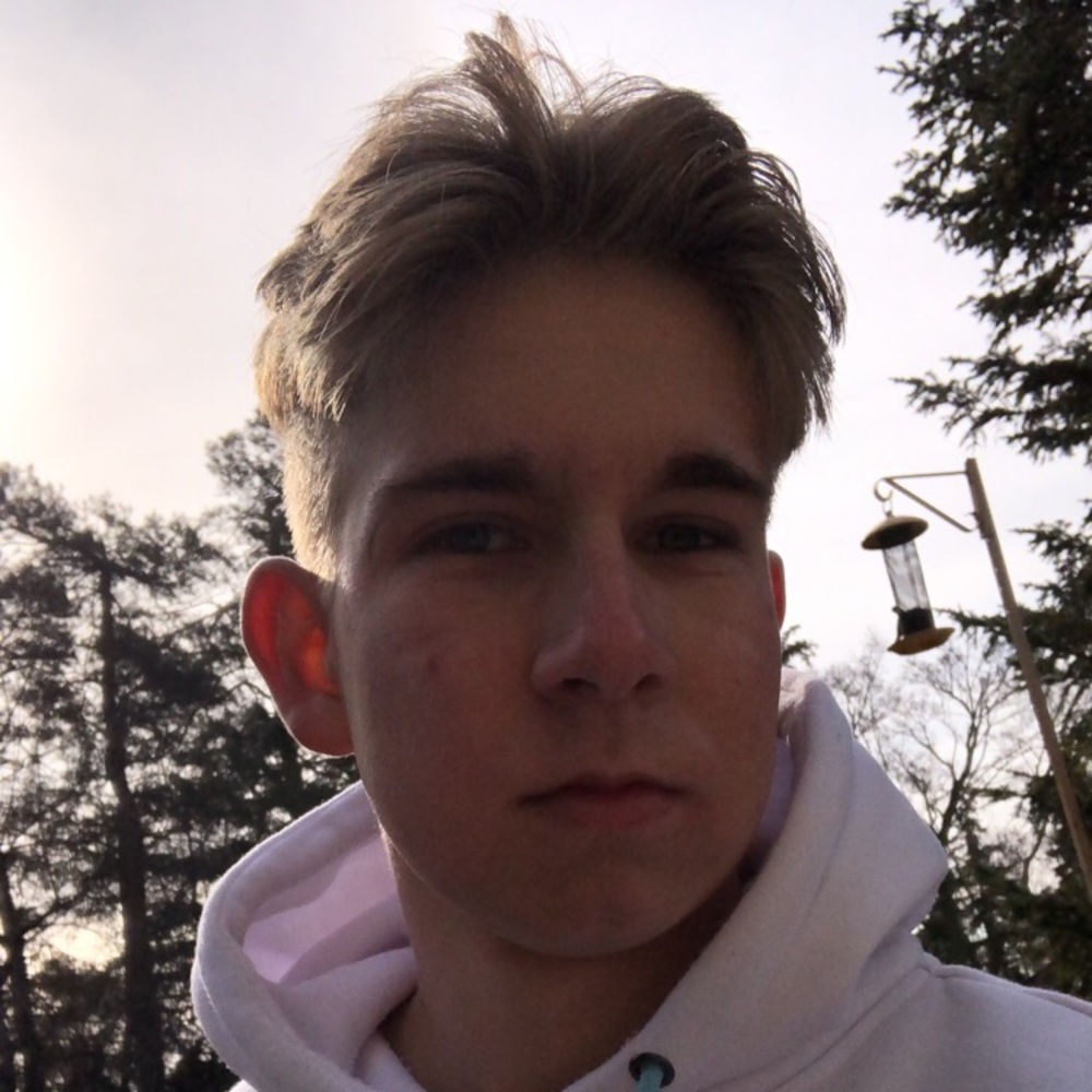 Meet your Posher, Owen - Picture 1 of 1